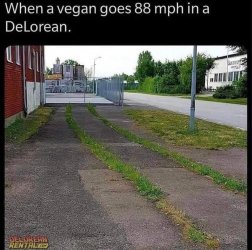 1693900602288.jpeg