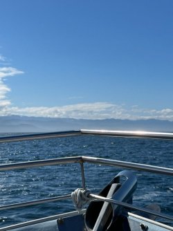 IMG_2382.jpeg