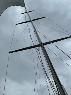 IMG_2220.jpeg