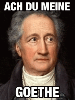 blogheader_memes_artikel_600_x_800_px_03.gif