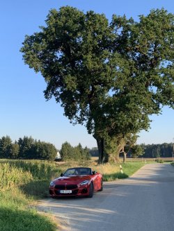 IMG_0216.jpeg