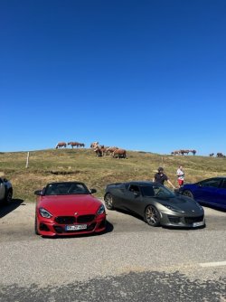 IMG_1446.jpeg IMG_1446.jpeg