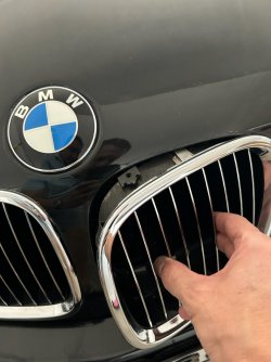 IMG_4509.jpeg