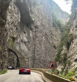 IMG_1637.jpeg IMG_1637.jpeg