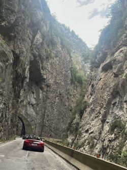 IMG_1636.jpeg IMG_1636.jpeg