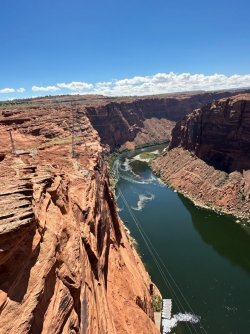 IMG_2663.jpeg