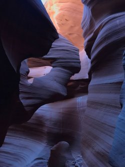 3B0C6906-4659-4C5C-A51D-8AF7A360F373.JPG