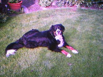 foto11.jpg