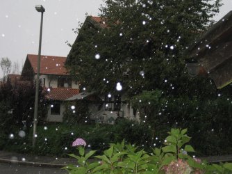 Winter 09-10 002.jpg