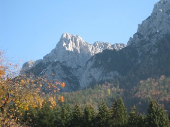 Zacherl 11-09 007.jpg