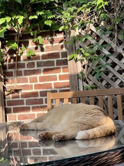 IMG_7408.jpeg