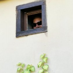 IMG_3727.jpeg