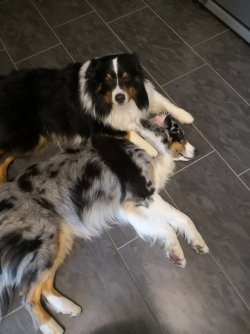 7cb6IMG_20180502_060257.jpg 7cb6IMG_20180502_060257.jpg