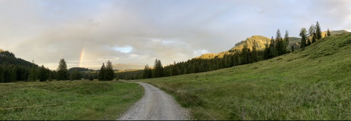 IMG_4907.jpeg