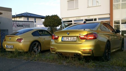 IMG_2034.jpeg