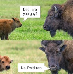 IMG_9307.jpeg