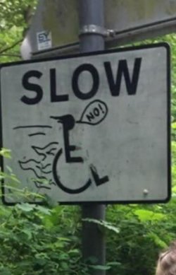 IMG_0410.jpeg