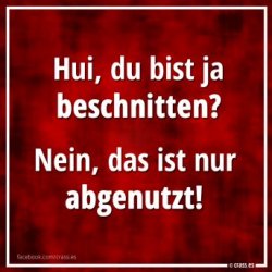 b6d6115bb6cbc53e10f95aa1d2354fc7.jpg