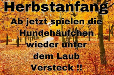 Screenshot 2023-09-25 082803 - Kopie.png