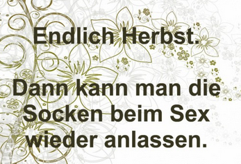Screenshot 2023-09-25 082921 - Kopie.png
