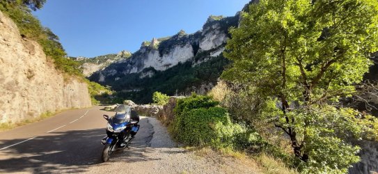 20230909_175455[1].jpg