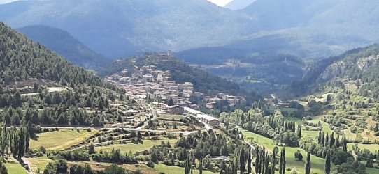 20230913_121828[1].jpg
