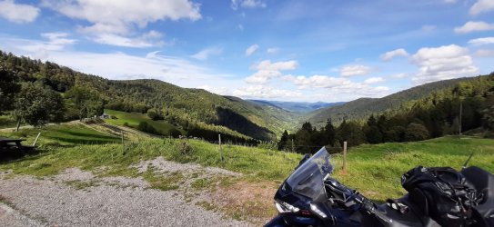 20230919_151245[1].jpg