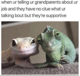 1695900928254.png