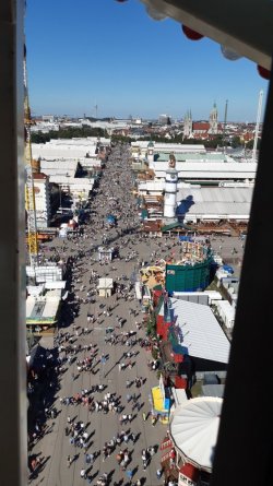 20230920_150155.jpg 20230920_150155.jpg