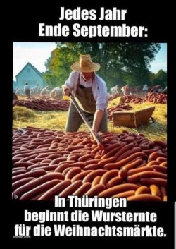 IMG_3300.jpeg