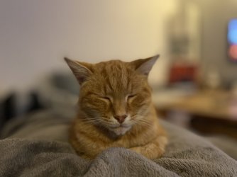 IMG_2667.jpeg