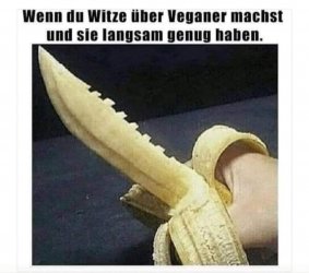 WhatsApp Bild 2023-10-04 um 13.31.16.jpg