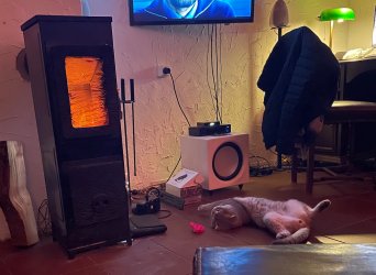 IMG_3713.jpeg