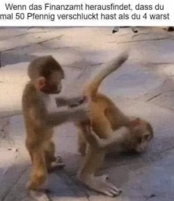IMG_0582.jpeg