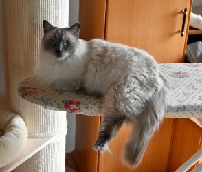 DSC_0213.JPG