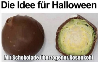 Screenshot 2023-10-11 101703 - Kopie.png