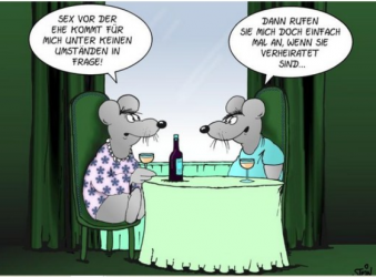Screenshot 2023-10-13 115343 - Kopie.png