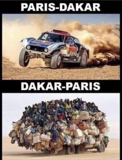 cc133c26-c00a-41e0-9caa-e5a0791fb648.jpeg