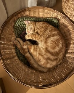 IMG_3208.jpeg