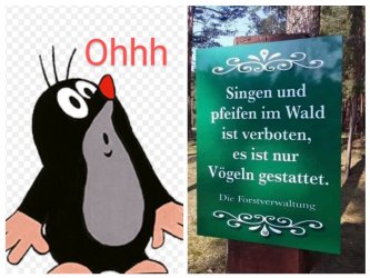 20231017_235935-COLLAGE~2.jpg