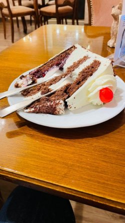 IMG_4448.jpeg