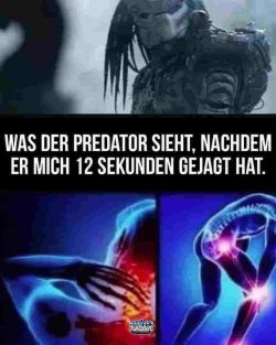 1698185863519.jpeg