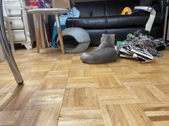 IMG_3761.jpeg