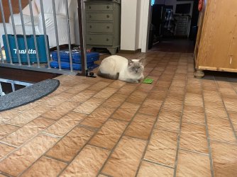 IMG_3762.jpeg