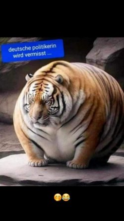 WhatsApp Image 2023-10-25 at 19.32.02.jpeg