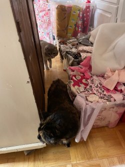 IMG_3774.jpeg