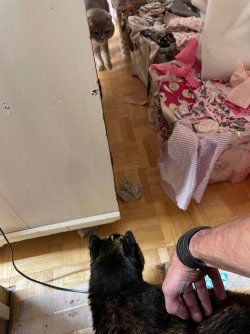 IMG_3777.jpeg