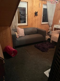 IMG_3793.jpeg