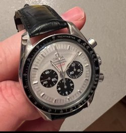 IMG_5397.jpeg IMG_5397.jpeg