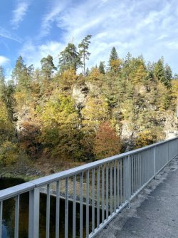 IMG_7804.jpeg